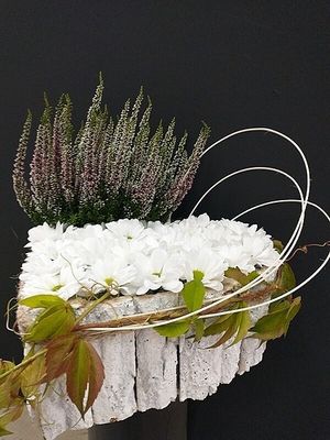 Image chosen by user