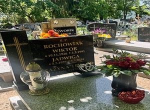 Obrazek wybrany przez użytkownika