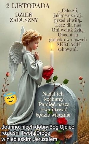 Obrazek wybrany przez użytkownika
