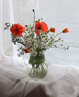 Image chosen by user