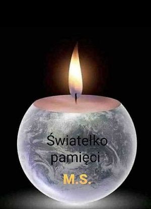 Obrazek wybrany przez użytkownika