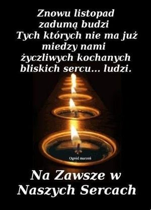 Obrazek wybrany przez użytkownika