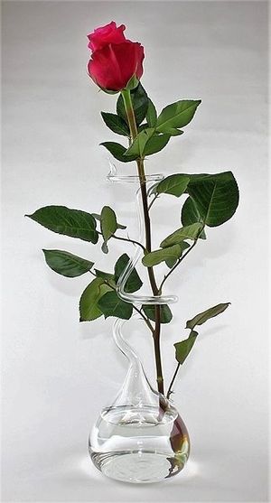 Image chosen by user