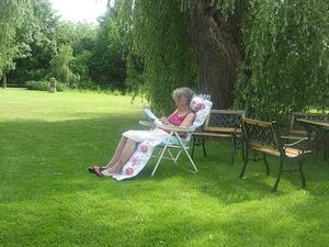 Obrazek wybrany przez użytkownika
