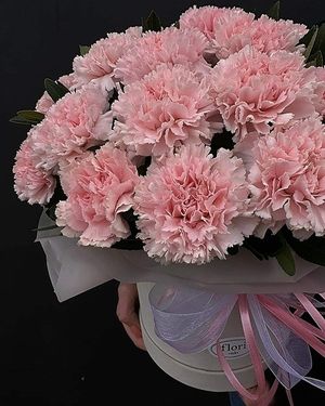 Image chosen by user