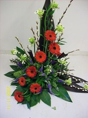 Image chosen by user
