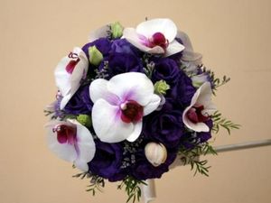 Image chosen by user