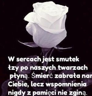 Obrazek wybrany przez użytkownika