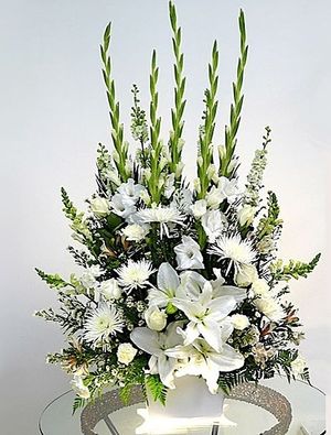 Image chosen by user