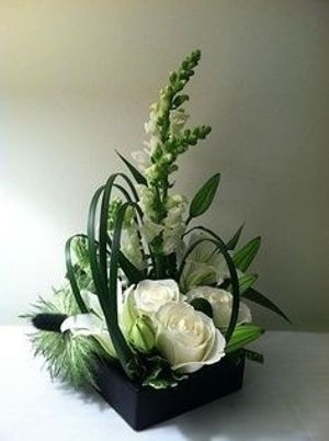 Image chosen by user