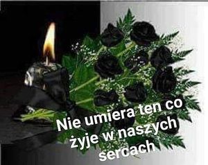 Obrazek wybrany przez użytkownika