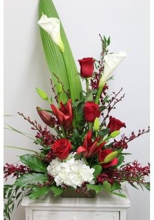 Image chosen by user