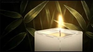 Image chosen by user