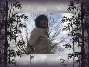 Image chosen by user