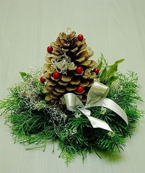 Image chosen by user