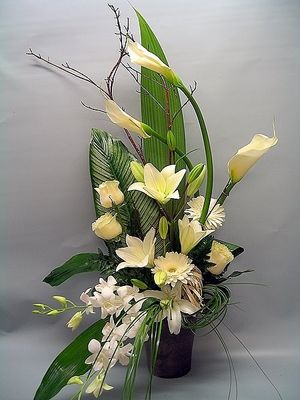 Image chosen by user