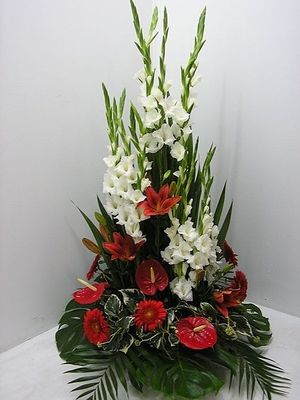 Image chosen by user