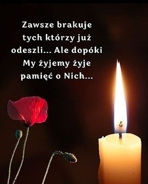 Obrazek wybrany przez użytkownika