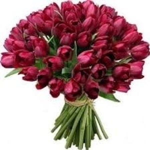 Image chosen by user