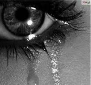 Image chosen by user