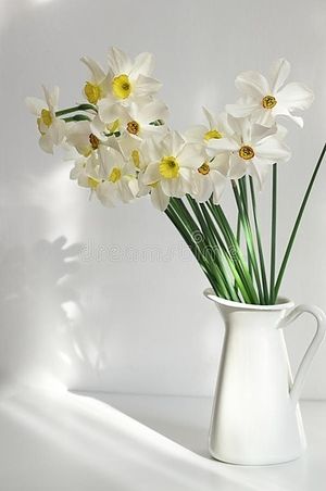 Image chosen by user
