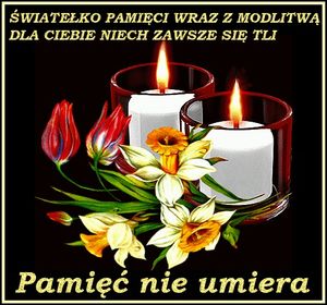 Obrazek wybrany przez użytkownika