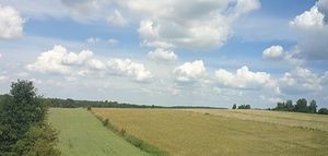 Obrazek wybrany przez użytkownika