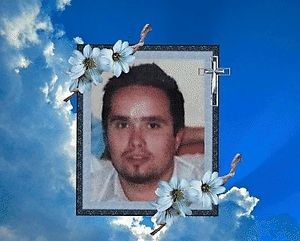 Image chosen by user