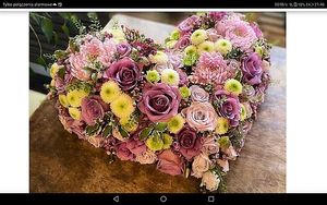 Image chosen by user