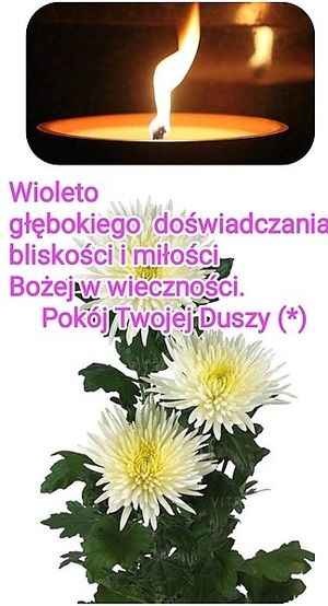 Obrazek wybrany przez użytkownika