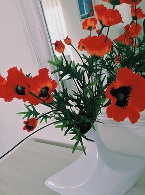 Image chosen by user