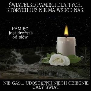 Obrazek wybrany przez użytkownika
