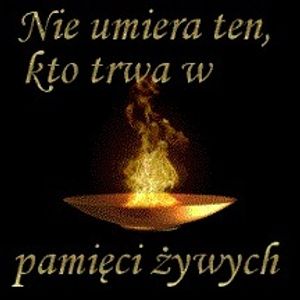 Obrazek wybrany przez użytkownika