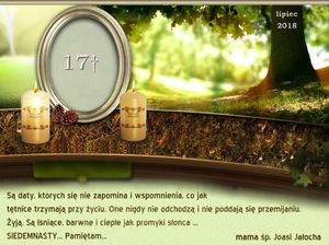 Image chosen by user