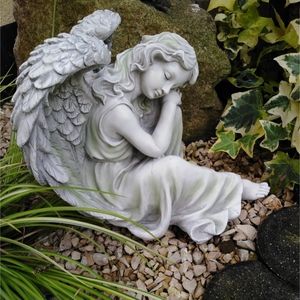 Image chosen by user