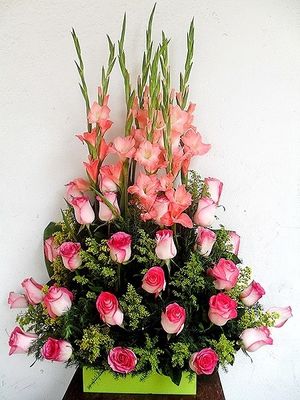 Image chosen by user