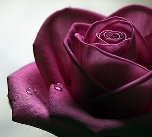 Image chosen by user