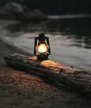 Image chosen by user