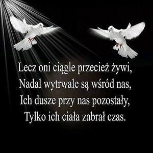 Obrazek wybrany przez użytkownika