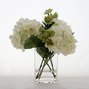 Image chosen by user