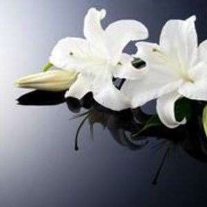 Image chosen by user