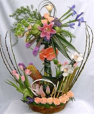 Image chosen by user