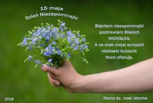 Image chosen by user