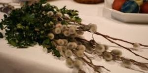 Image chosen by user