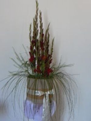 Image chosen by user