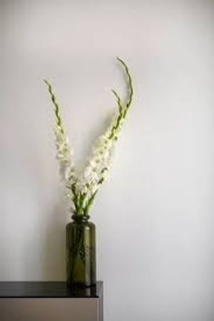 Image chosen by user