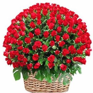 Image chosen by user