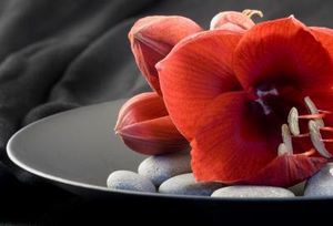Image chosen by user