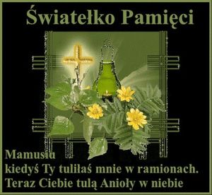 Obrazek wybrany przez użytkownika