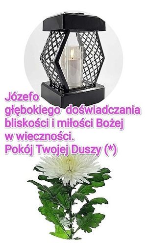 Obrazek wybrany przez użytkownika
